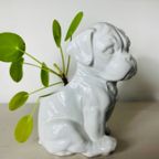 Puppy Bloempot thumbnail 6