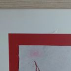 Picador thumbnail 19
