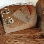 Coconut Monkeys thumbnail 5