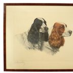 Grote Kleuren Litho Leon Danchin Jachthond Spaniël 68x55cm thumbnail 2