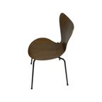 Arne Jacobsen - Fritz Hansen - Butterfly Chair (Very Early Edition) - 1967 - Dark Oak - Set Of 4 thumbnail 3