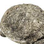 Vintage Tuinbeeld Schildpad Tuin Beton Verweerd 33Cm thumbnail 10