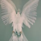 Damien Hirst, The Impossible Truth (Detail) thumbnail 7
