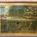 Vintage Linnen Schoolkaart – In Sloot En Plas thumbnail 2