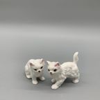 Vintage Bone China Katjes Wit Set Van 2 thumbnail 3