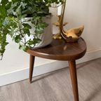 Driehoek Plantentafeltje thumbnail 3