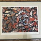 F. De Keijzer Litho Vissen thumbnail 4
