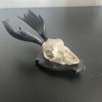 Mini Deer Skull thumbnail 2