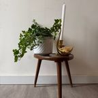 Driehoek Plantentafeltje thumbnail 5