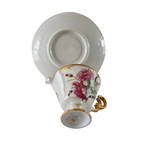 Kop En Schotel Norleans Carnation thumbnail 3