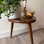 Driehoek Plantentafeltje thumbnail 4