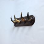 Vintage Horn Coat Rack, 1930S thumbnail 7