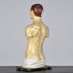 Anatomisch Model 23335 thumbnail 5