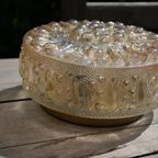 Plafonniere Champagne Kleur thumbnail 5