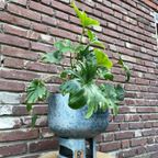 Industriele Bloempot Groot Grijs Blauw Patina Bovenkant thumbnail 5