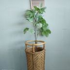 Vintage Design Bamboo Rattan Reed Umbrella Stand Plant Holder Paraplubak thumbnail 2