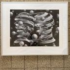 M.C. Escher Art-Print Bond Of Union In Aluminium Lijst thumbnail 7