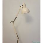 Anglepoise Lighting Floorlamp thumbnail 8