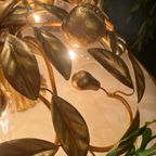 Banci Firenze Plafoniere Fruit Verguld Vintage thumbnail 11