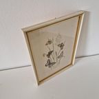 Vintage Lijst Met Prent Vlinders Vlinder Schilderij thumbnail 6