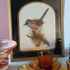 Vintage Dartford Warbler Vogel David Andrews Gouden Lijst thumbnail 2