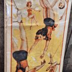 Vintage Circus Poster, Usa, Robbins Bros., Origineel 1965🤡 thumbnail 6