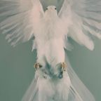 Damien Hirst, The Impossible Truth (Detail) thumbnail 5