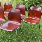 Set Van 6 Pagholz Stoelen Eetkamerstoelen Vintage thumbnail 4