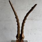 Sculptural Horns Art Piece thumbnail 10