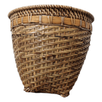 Bamboe Pot | M thumbnail 2