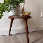 Driehoek Plantentafeltje thumbnail 8