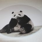 Wandcircel Panda thumbnail 2