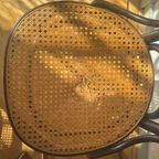 Set Van 6 Hoge Vintage Bentwood “Long John” Thonet thumbnail 7
