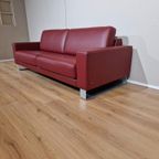 70% Korting - Showroommodel - Rolf Benz Ego-3 Zits-bordeaux thumbnail 13