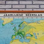 Schoolkaart - Wereld / Jaarlijkse Neerslag thumbnail 4