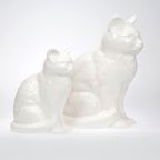 Sylvac Set Witte Katten, Engeland 1970S thumbnail 4