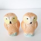 Antiek Zout En Peper Stel Uil Beeldje Uilen Uilenbeeld thumbnail 2