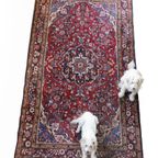 Vintage Design Perzisch Tapijt “Borchelou” 265 X 157 Cm thumbnail 2