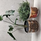 West Germany Bloempot (ten) thumbnail 2