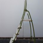 Originele Vintage Brabantia Keukentrap, Schilderstrap 1950S thumbnail 3