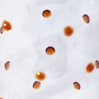 Polspotten | Nob Karaf Hoog thumbnail 6