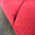 Ligne Roset Togo 2-Zit In Goya Red thumbnail 7