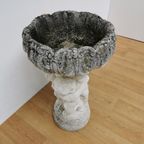 Antieke Tuinvaas Bloembak, Plantenbak Jardinière Op Zuil thumbnail 6