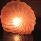 Grote Schelp/ammoniet Vorm Tafellamp, Kunststof thumbnail 13