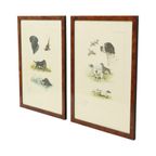 Kleuren Litho’s Boris Riab Jachthond Gesigneerd Kunst Paris thumbnail 14
