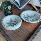 1 Grote En 5 Kleine Schaaltjes Van W.h Grindley Collectie Pinewood thumbnail 6