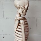 Anatomisch Model Skelet 84 Cm Hoog, 1980’S thumbnail 8