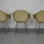 Set Of Three Parchment Fiberglass Dax Armchairs Eames For Herman Miller / Vitra thumbnail 12