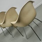 Set Van 3 Fiberglass Dax Armchairs Eames For Herman Miller / Vitra thumbnail 16