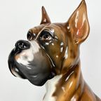 Keramiek Porseleinen Beeld Van Hond Boxer, 1970'S thumbnail 3